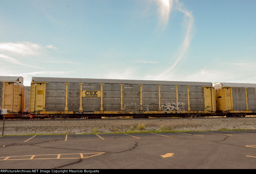 TTGX CSX Autorack